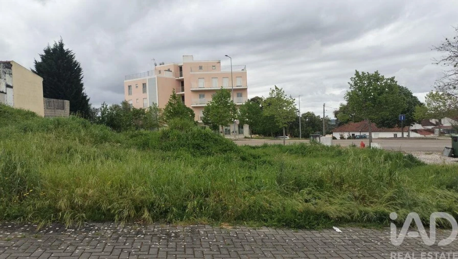 Terreno para Venda em Romeira e Várzea Foto 10