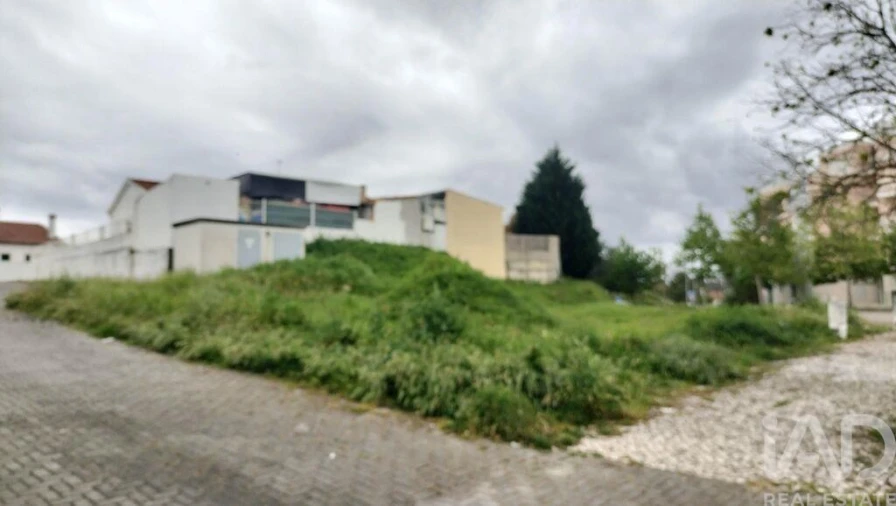 Terreno para Venda em Romeira e Várzea Foto 7