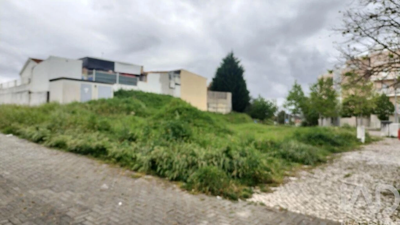 Terreno para Venda em Romeira e Várzea Foto 18