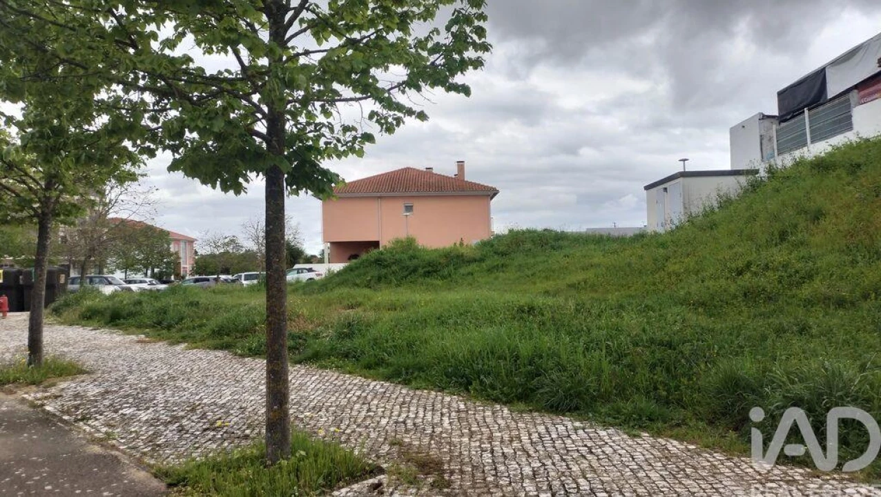 Terreno para Venda em Romeira e Várzea Foto 16
