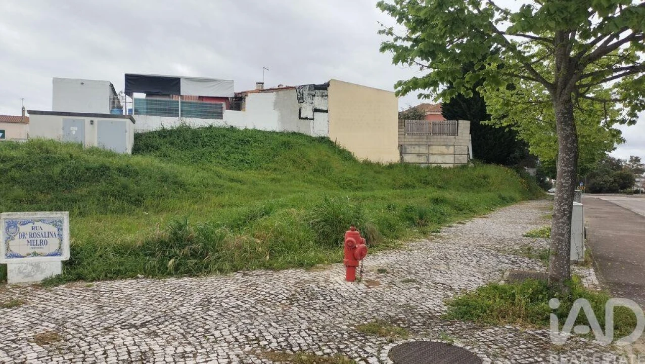 Terreno para Venda em Romeira e Várzea Foto 17