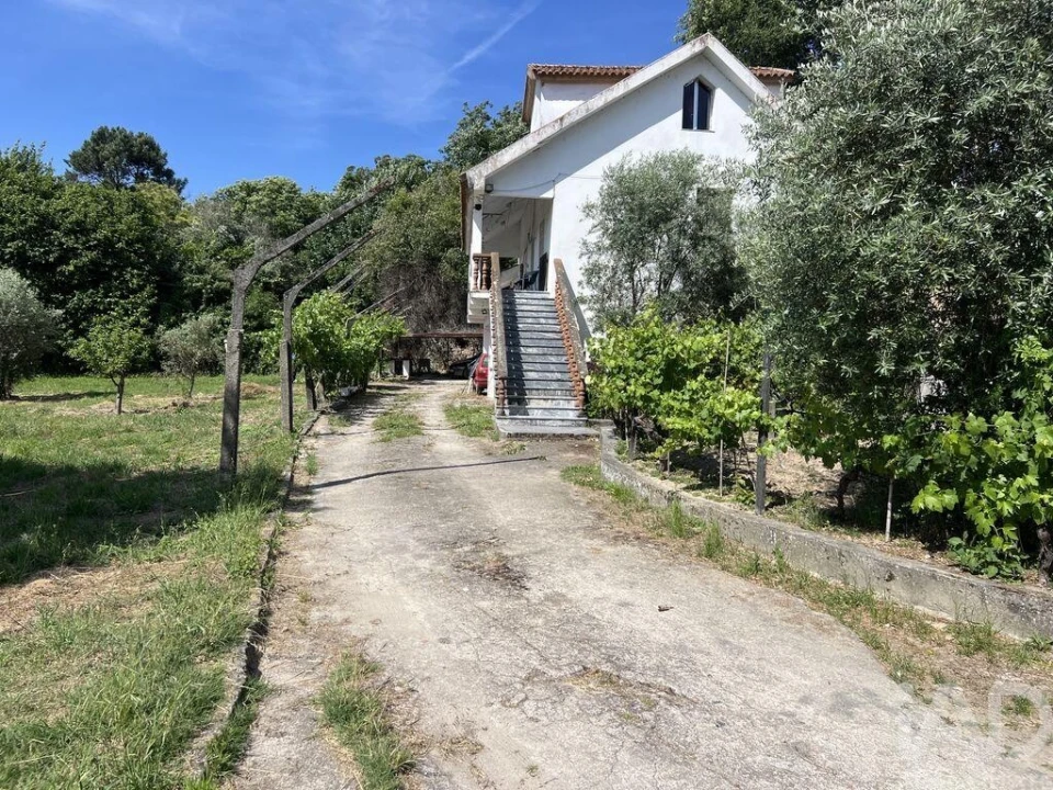 Quinta T3 para Venda em Viseu Foto 2