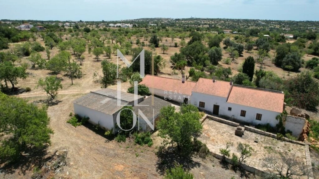Quinta T4 para Venda em Guia Foto 37