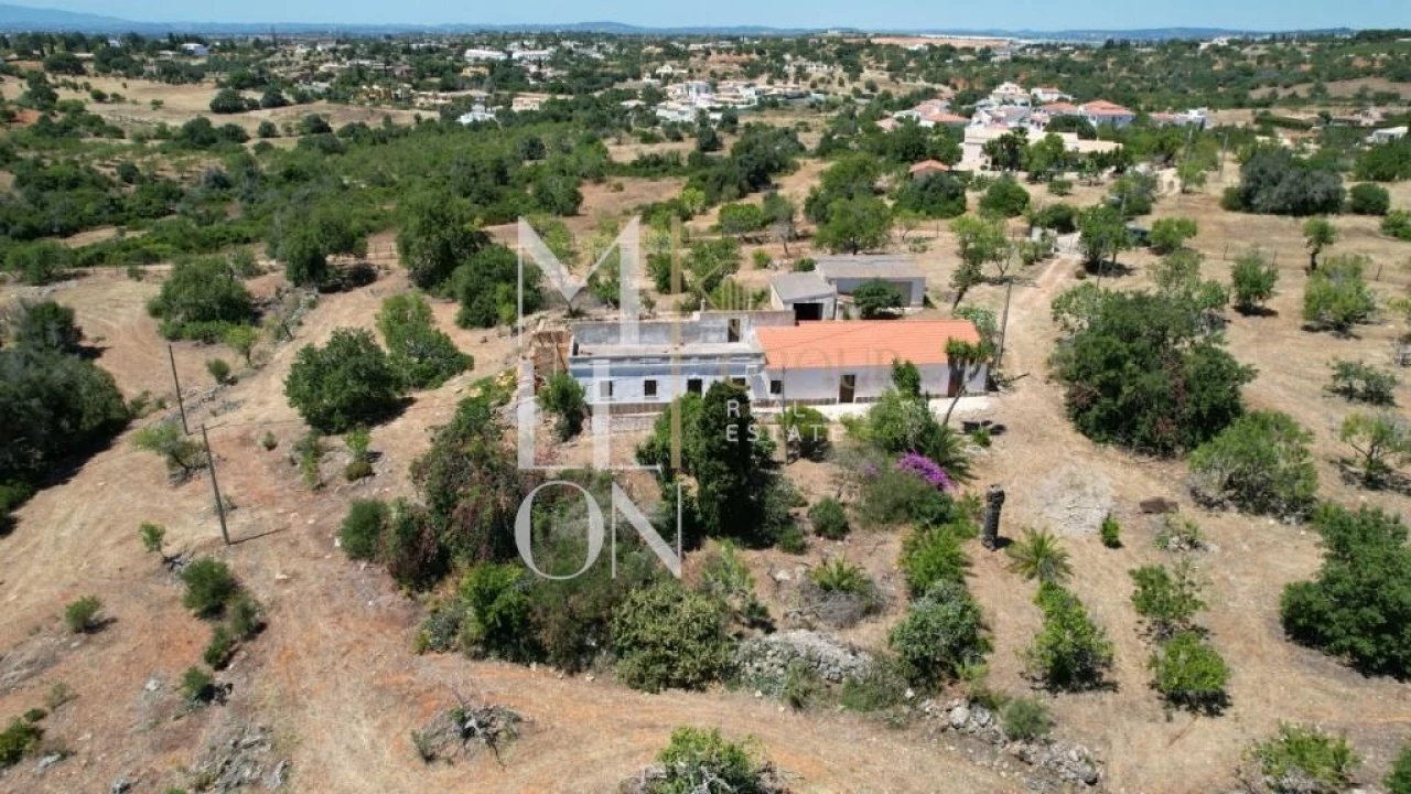 Quinta T4 para Venda em Guia Foto 3