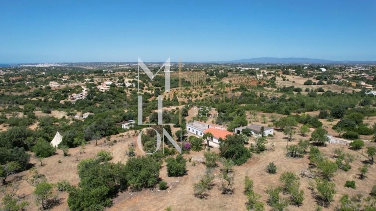 Quinta T4 para Venda em Guia Foto 16