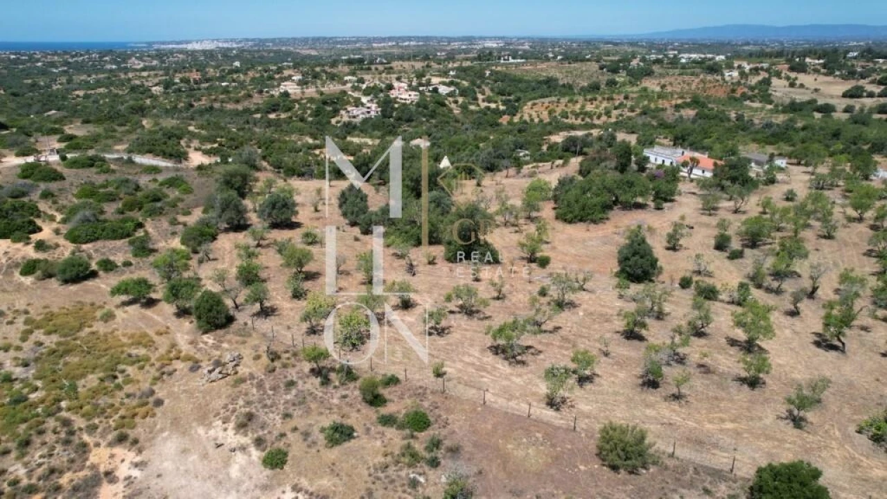 Quinta T4 para Venda em Guia Foto 23