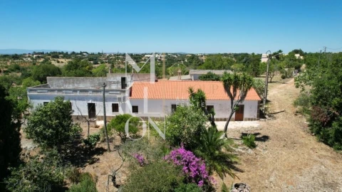 Quinta T4 para Venda em Guia