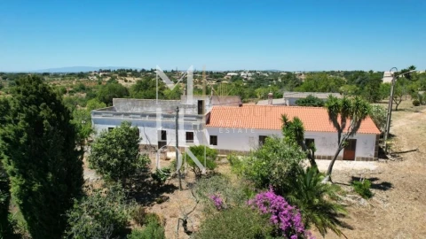 Quinta T4 para Venda em Guia