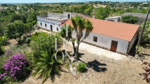 Quinta T4 para Venda em Guia