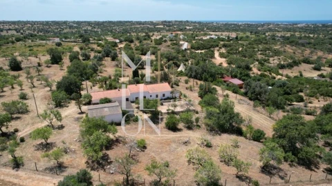 Quinta T4 para Venda em Guia
