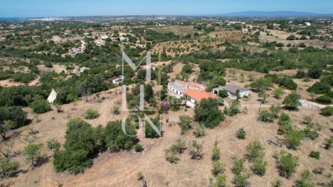 Quinta T4 para Venda em Guia
