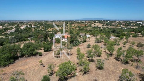 Quinta T4 para Venda em Guia