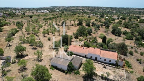 Quinta T4 para Venda em Guia