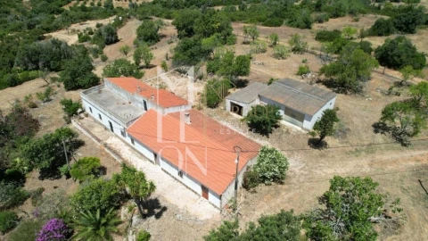 Quinta T4 para Venda em Guia