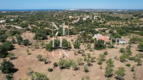 Quinta T4 para Venda em Guia