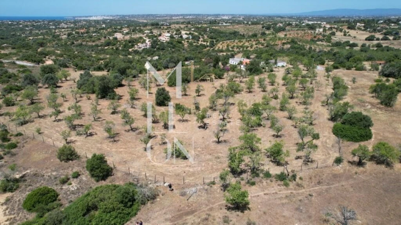 Quinta T4 para Venda em Guia Foto 21