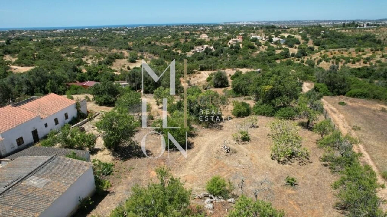 Quinta T4 para Venda em Guia Foto 36