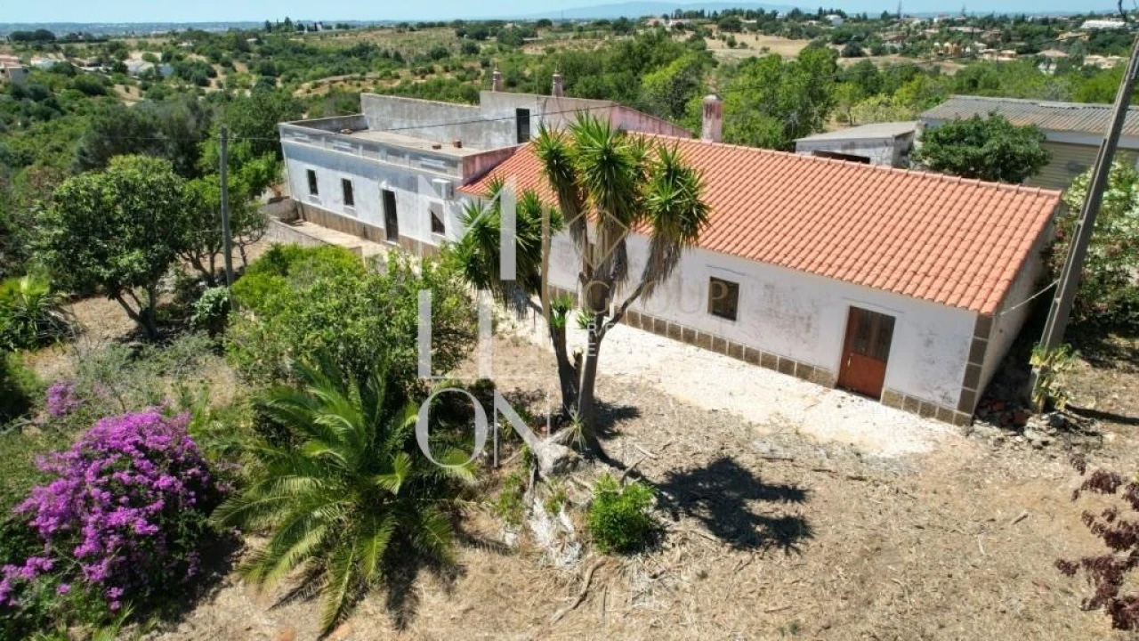 Quinta T4 para Venda em Guia Foto 12