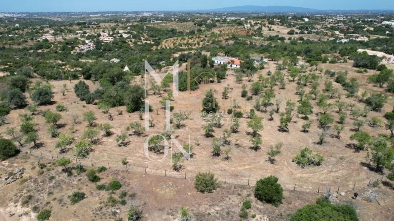 Quinta T4 para Venda em Guia Foto 22