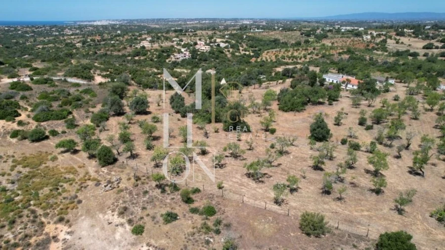 Quinta T4 para Venda em Guia Foto 23