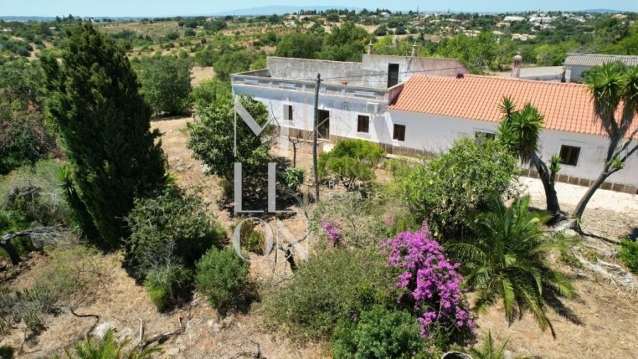 Quinta T4 para Venda em Guia Foto 13