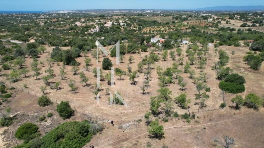 Quinta T4 para Venda em Guia Foto 21