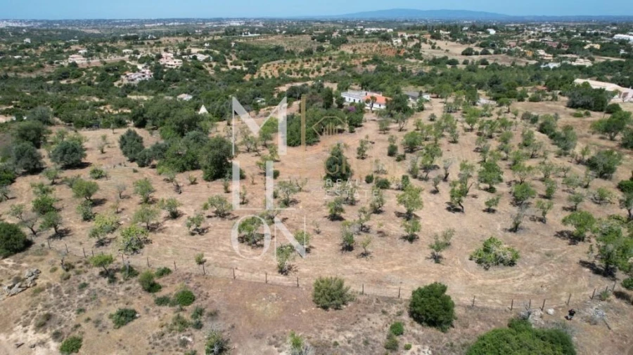 Quinta T4 para Venda em Guia Foto 22