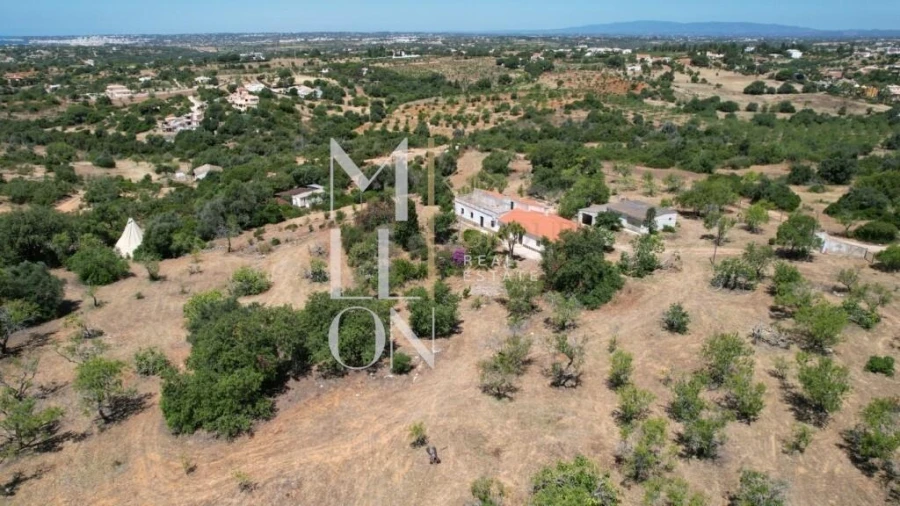 Quinta T4 para Venda em Guia Foto 17