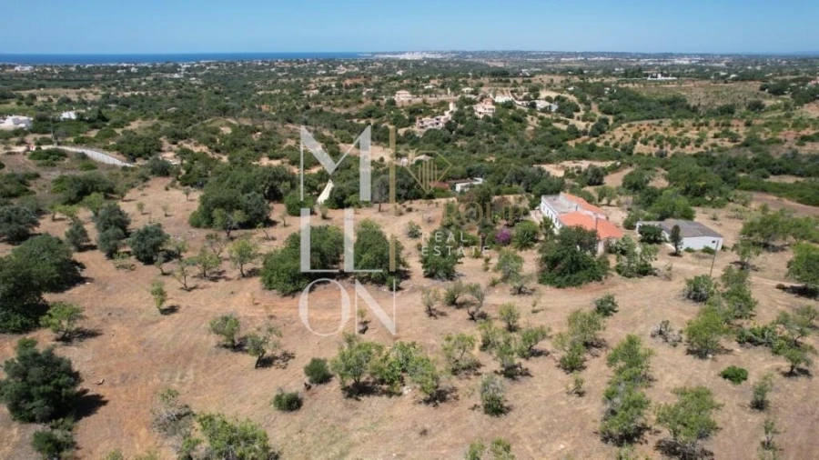 Quinta T4 para Venda em Guia Foto 20
