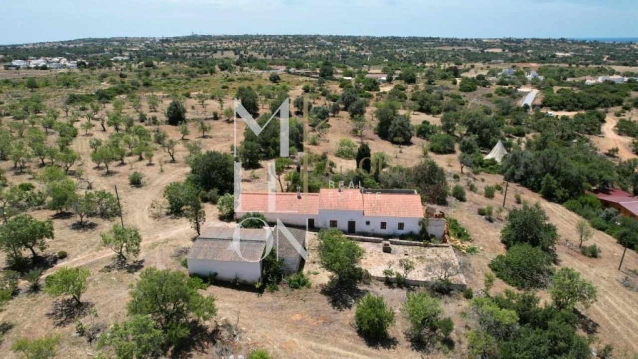 Quinta T4 para Venda em Guia Foto 39