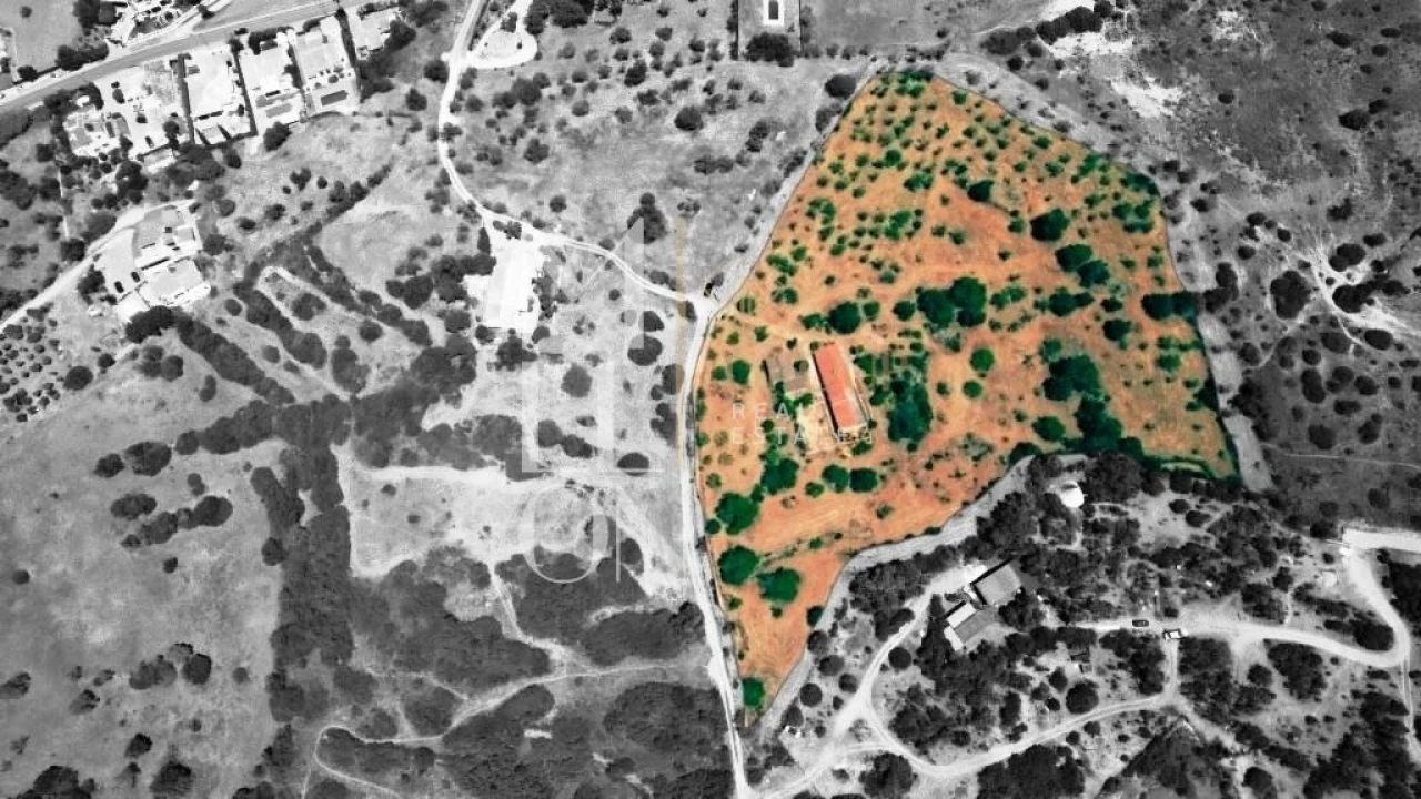 Quinta T4 para Venda em Guia Foto 8