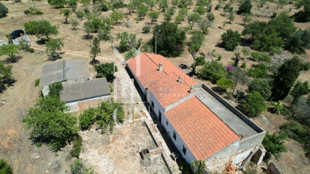 Quinta T4 para Venda em Guia Foto 10