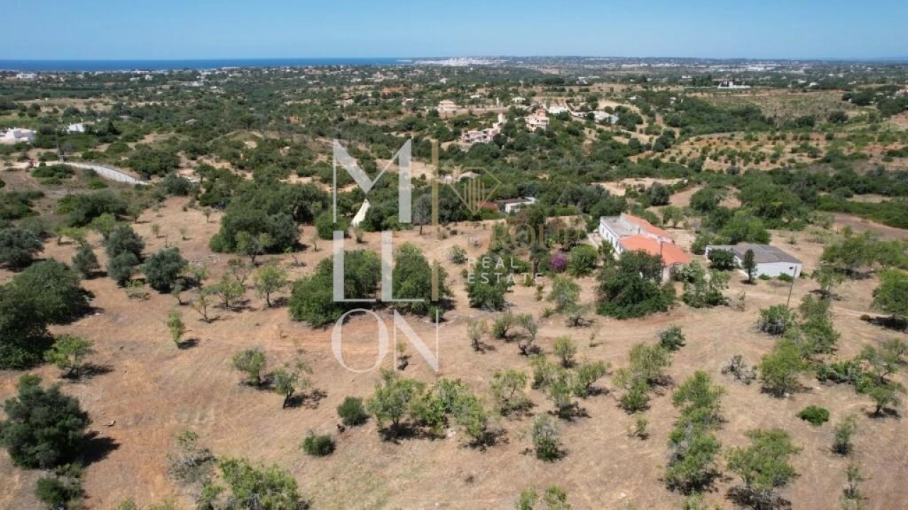 Quinta T4 para Venda em Guia Foto 20