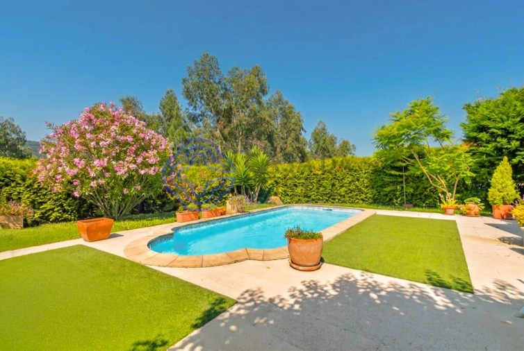 Moradia T4 para Venda em Raiva, Pedorido e Paraíso Foto 9