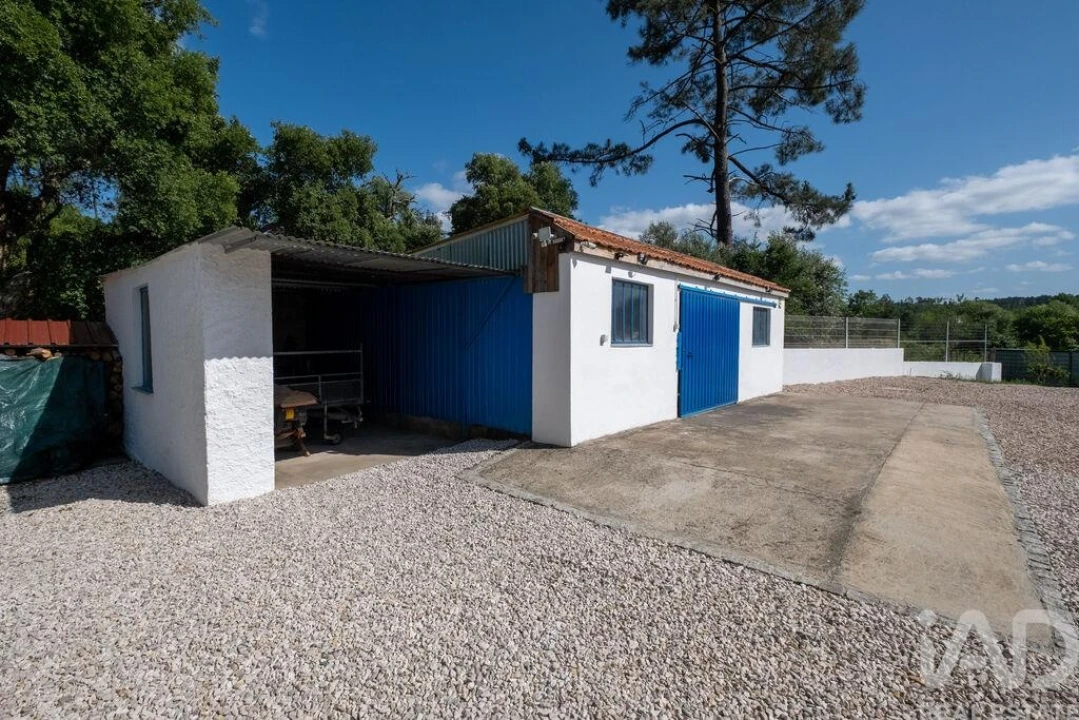 Quinta T3 para Venda em Sarzedo Foto 28