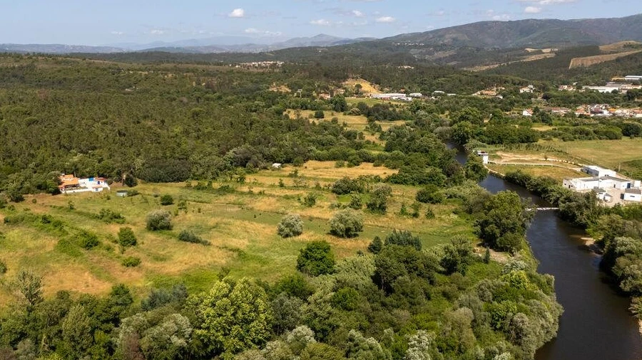 Quinta T3 para Venda em Sarzedo