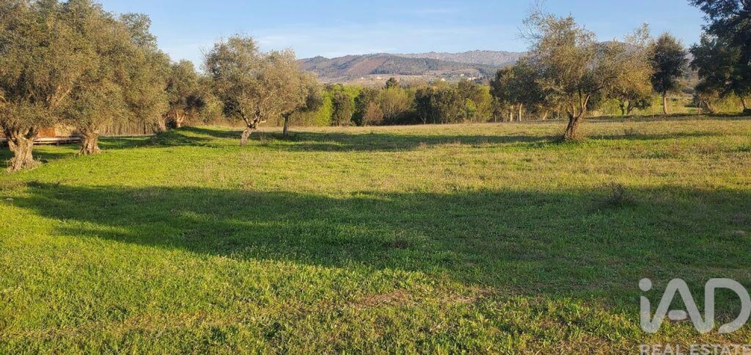 Quinta para Venda em Telhado Foto 15