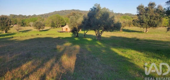Quinta para Venda em Telhado