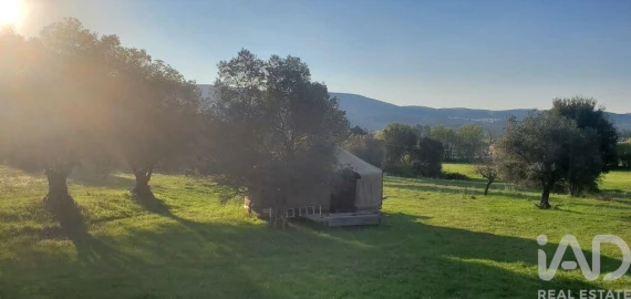 Quinta para Venda em Telhado