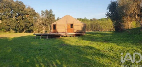 Quinta para Venda em Telhado