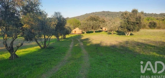 Quinta para Venda em Telhado