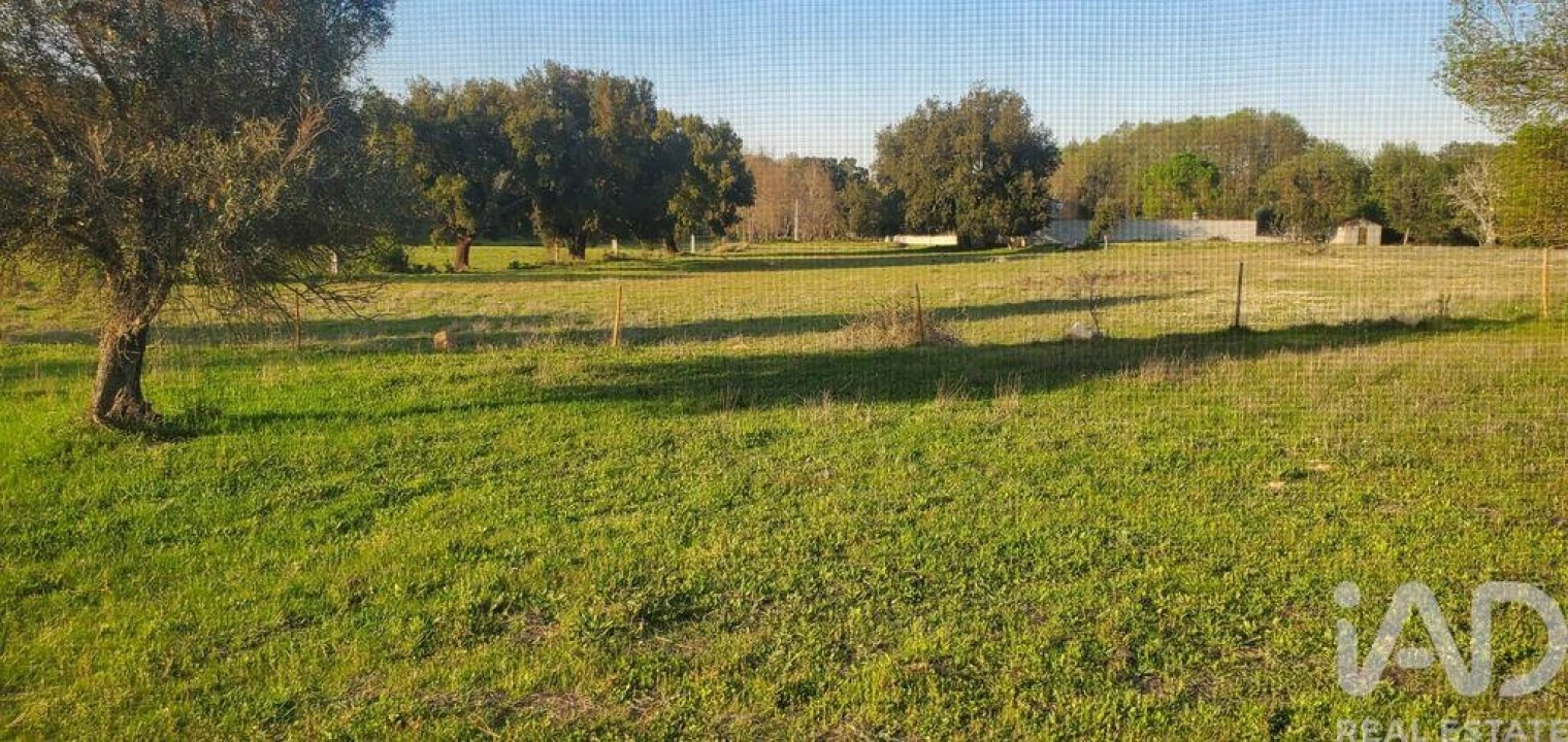 Quinta para Venda em Telhado Foto 13