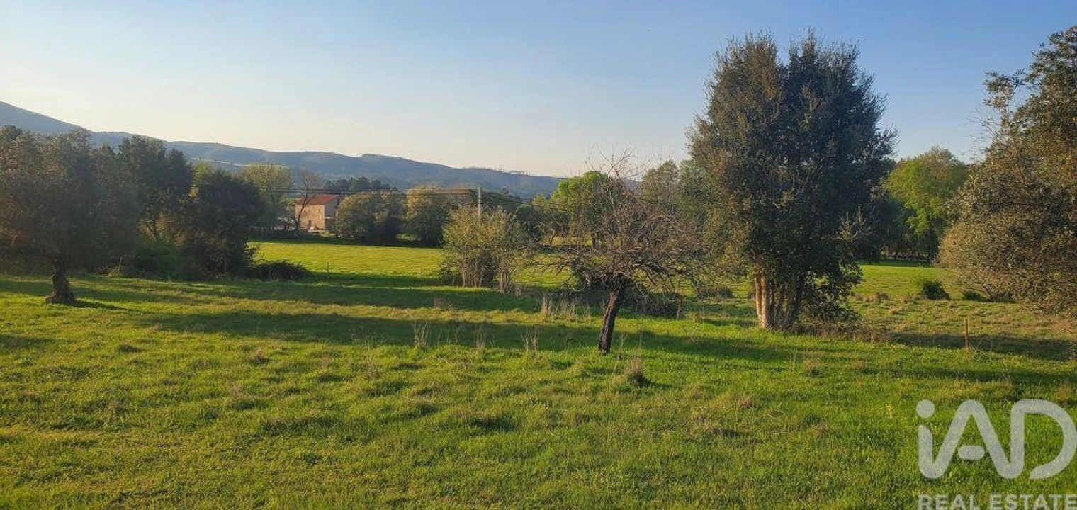 Quinta para Venda em Telhado Foto 10