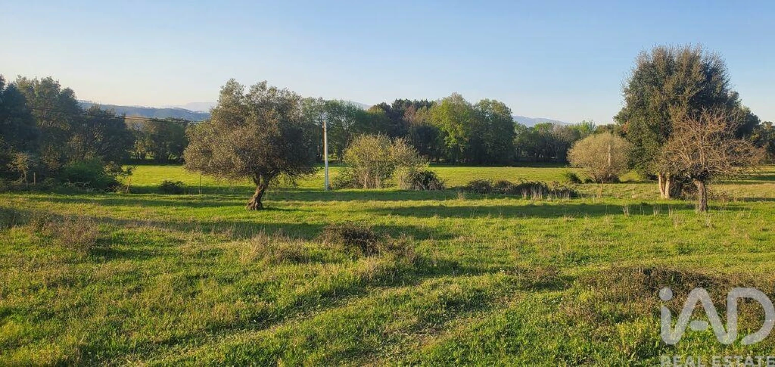 Quinta para Venda em Telhado Foto 11