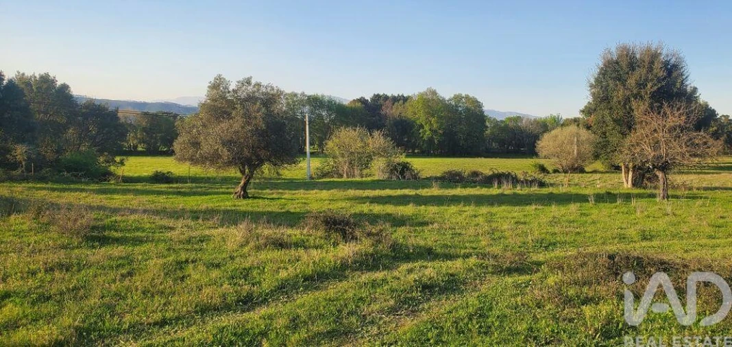 Quinta para Venda em Telhado Foto 11