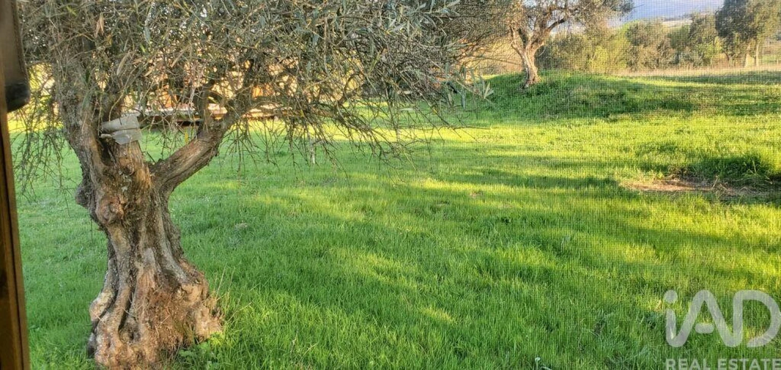 Quinta para Venda em Telhado Foto 14
