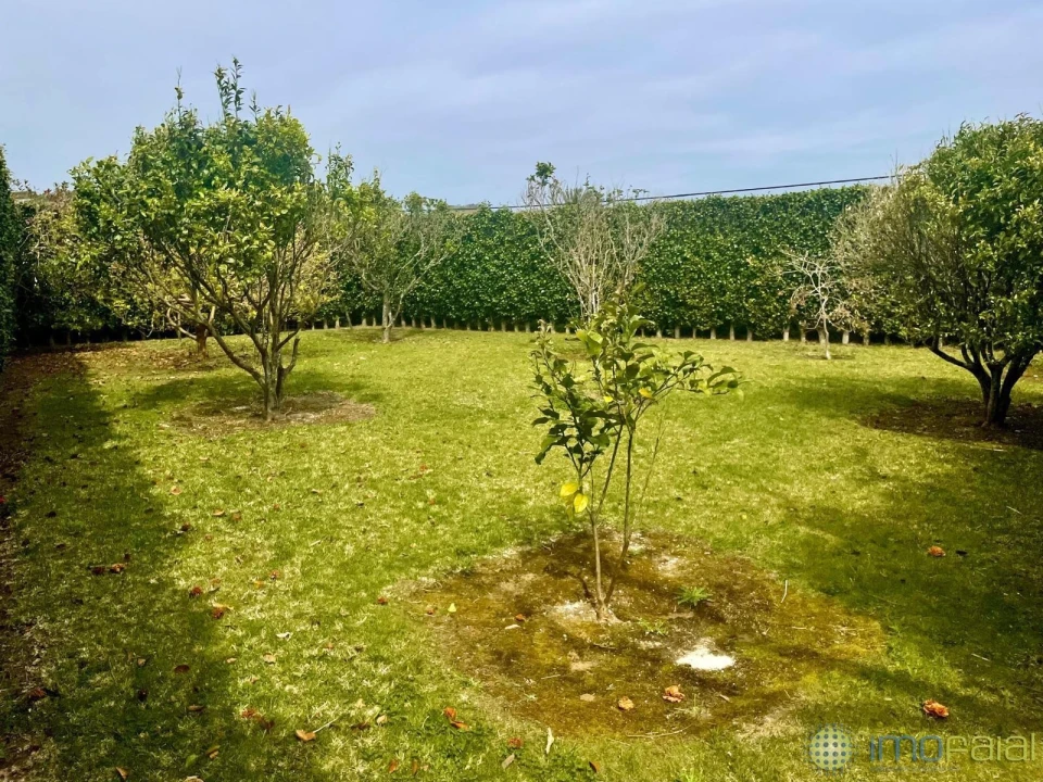 Moradia T4 para Venda em Horta (Conceição) Foto 23