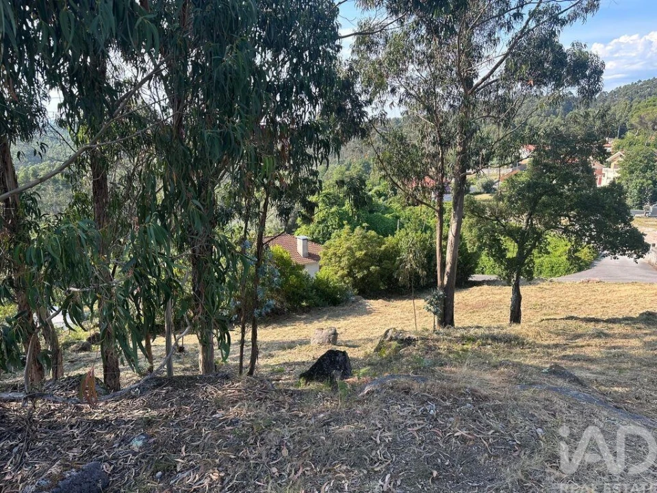 Terreno para Venda em Vila de Punhe Foto 32
