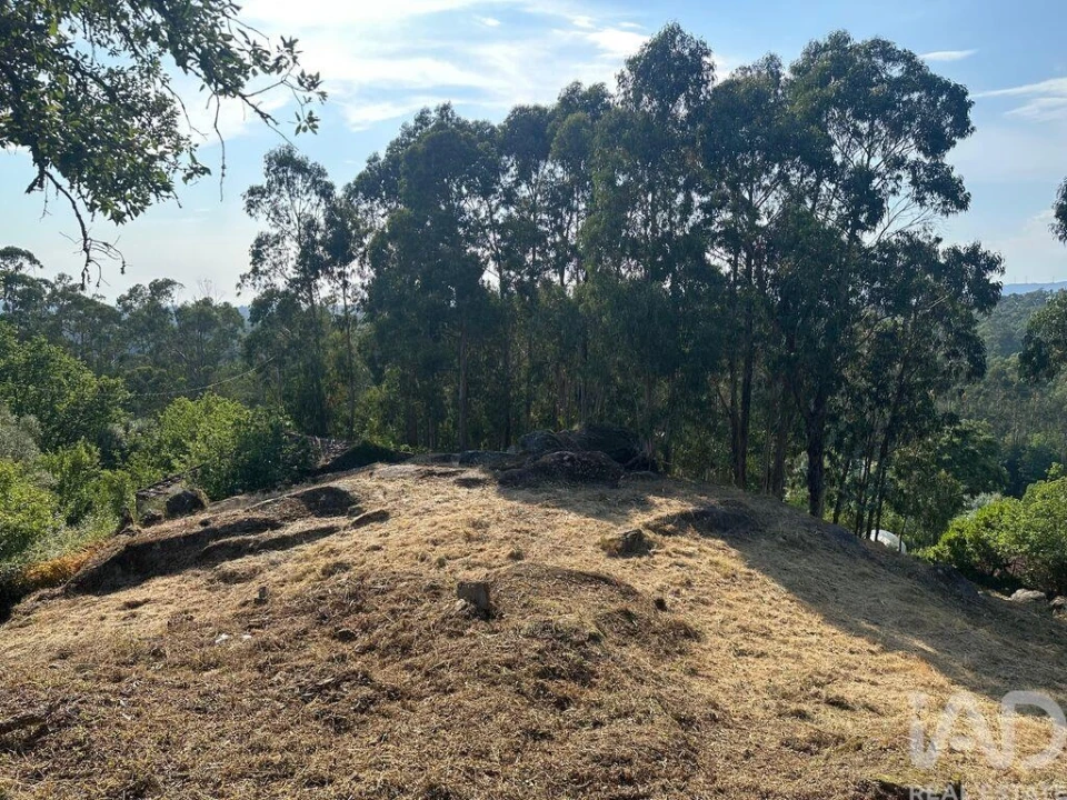 Terreno para Venda em Vila de Punhe Foto 8