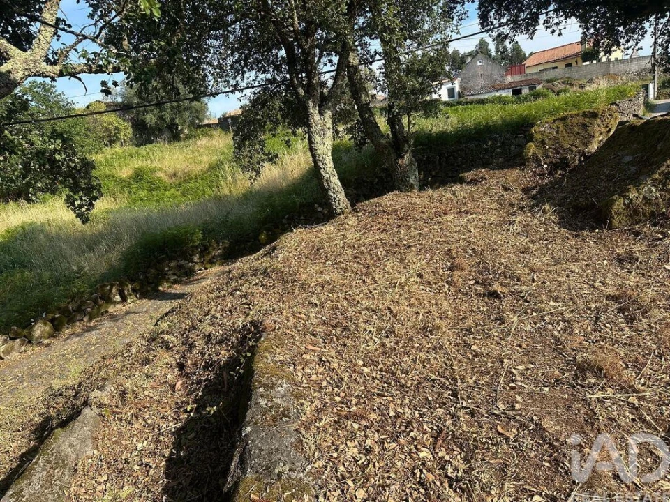 Terreno para Venda em Vila de Punhe Foto 15